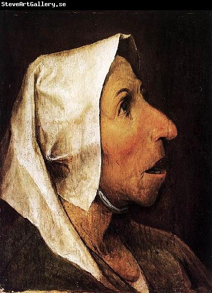 Pieter Bruegel the Elder Portrait of an Old Woman